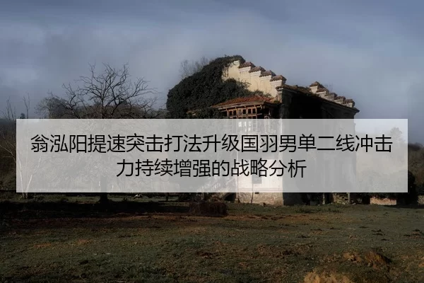 翁泓阳提速突击打法升级国羽男单二线冲击力持续增强的战略分析