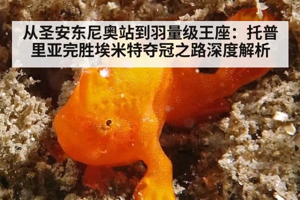 从圣安东尼奥站到羽量级王座：托普里亚完胜埃米特夺冠之路深度解析 - huatihui