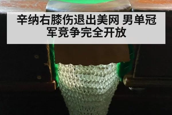 辛纳右膝伤退出美网 男单冠军竞争完全开放 - huatihui