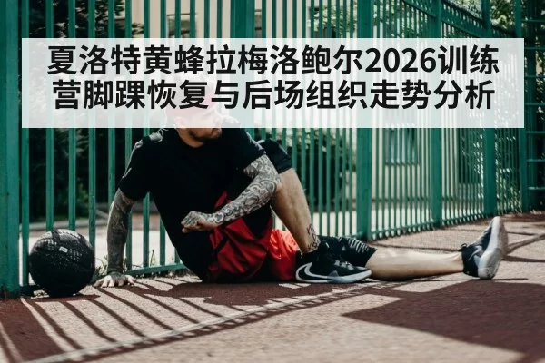 夏洛特黄蜂拉梅洛鲍尔2026训练营脚踝恢复与后场组织走势分析（huatihui）